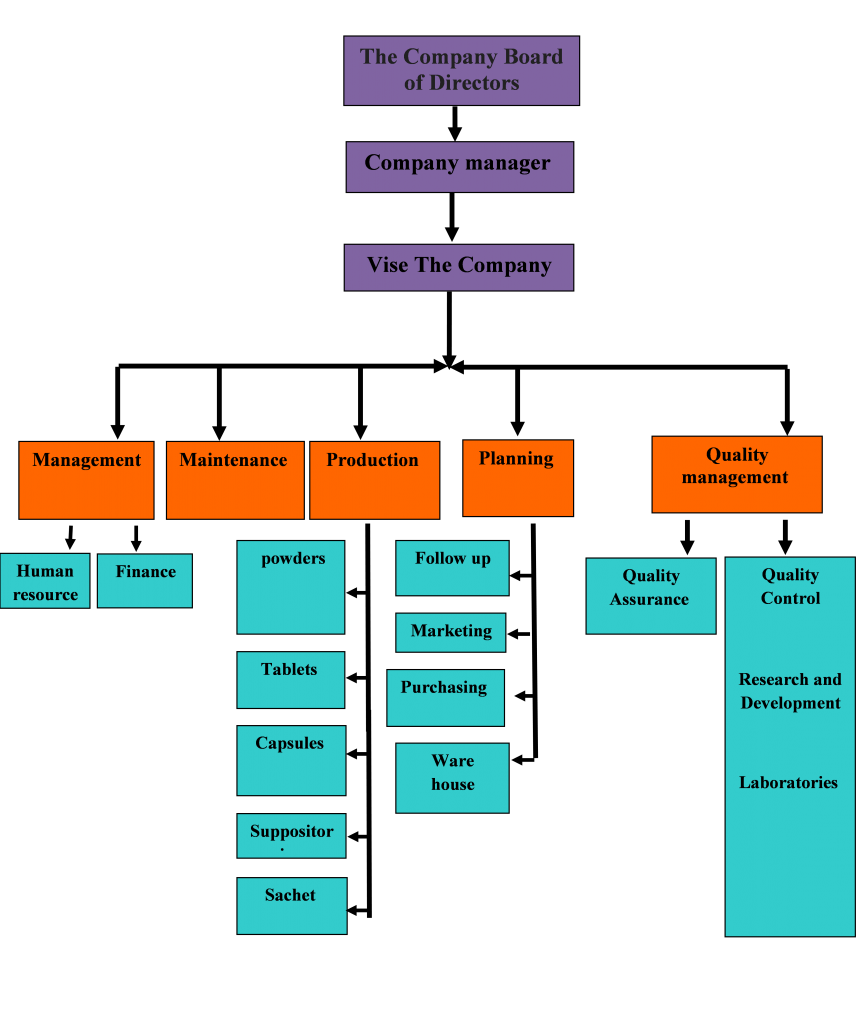 Pharmaceutical Organizational Chart