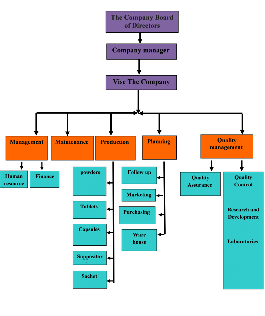 Pharmaceutical Company Organizational Chart